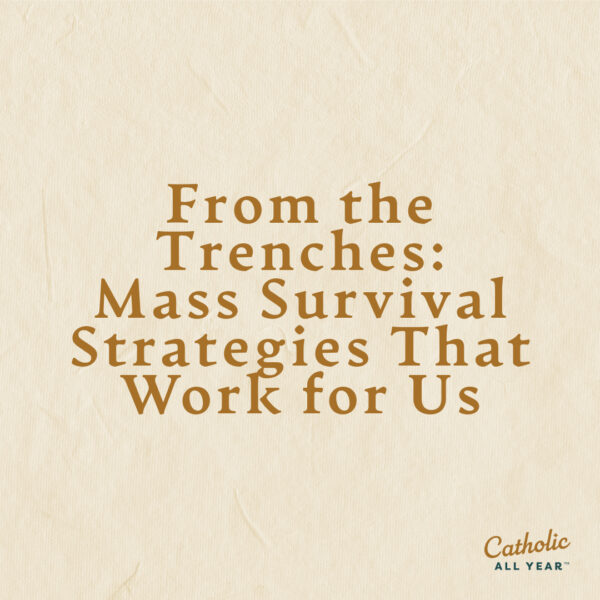 From the Trenches: Mass Survival Strategies That Work for Us