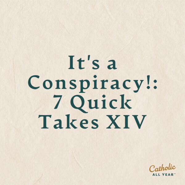 It’s a Conspiracy!: 7 Quick Takes XIV