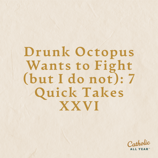 Drunk Octopus Wants to Fight (but I do not): 7 Quick Takes XXVI