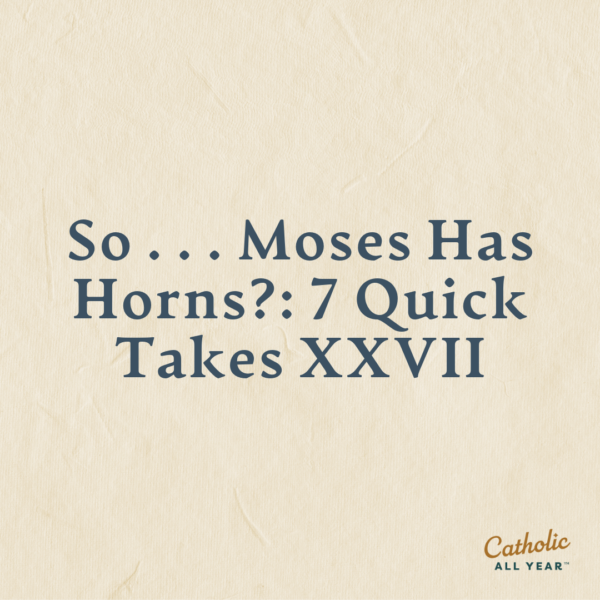 So . . . Moses Has Horns?: 7 Quick Takes XXVII