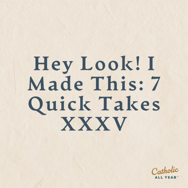 Hey Look! I Made This: 7 Quick Takes XXXV