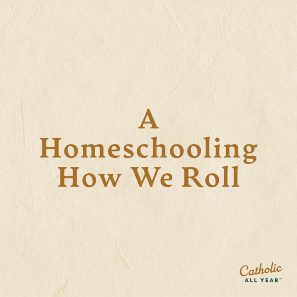 A Homeschooling How We Roll