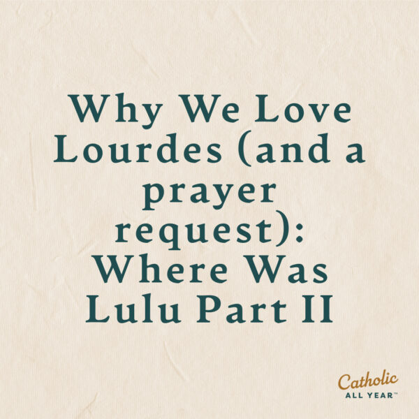 Why We Love Lourdes (and a prayer request): Where Was Lulu Part II