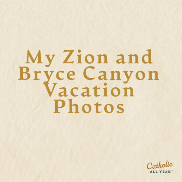 My Zion and Bryce Canyon Vacation Photos. Hey, where are you guys all going? Come back!