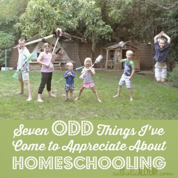 Seven Odd Things I’ve Come to Appreciate About Homeschooling