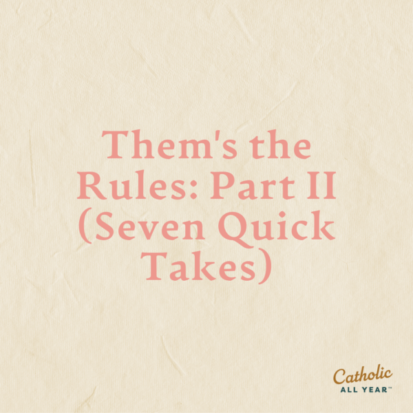 Them's the Rules: Part II (Seven Quick Takes)