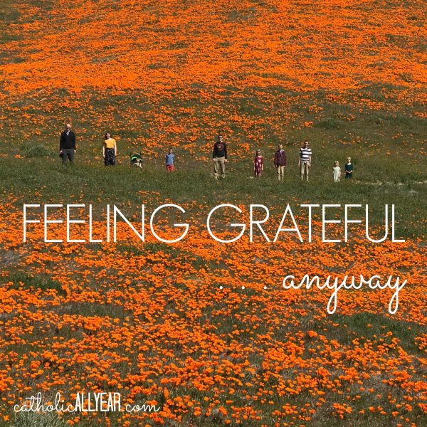 Feeling Grateful . . . Anyway