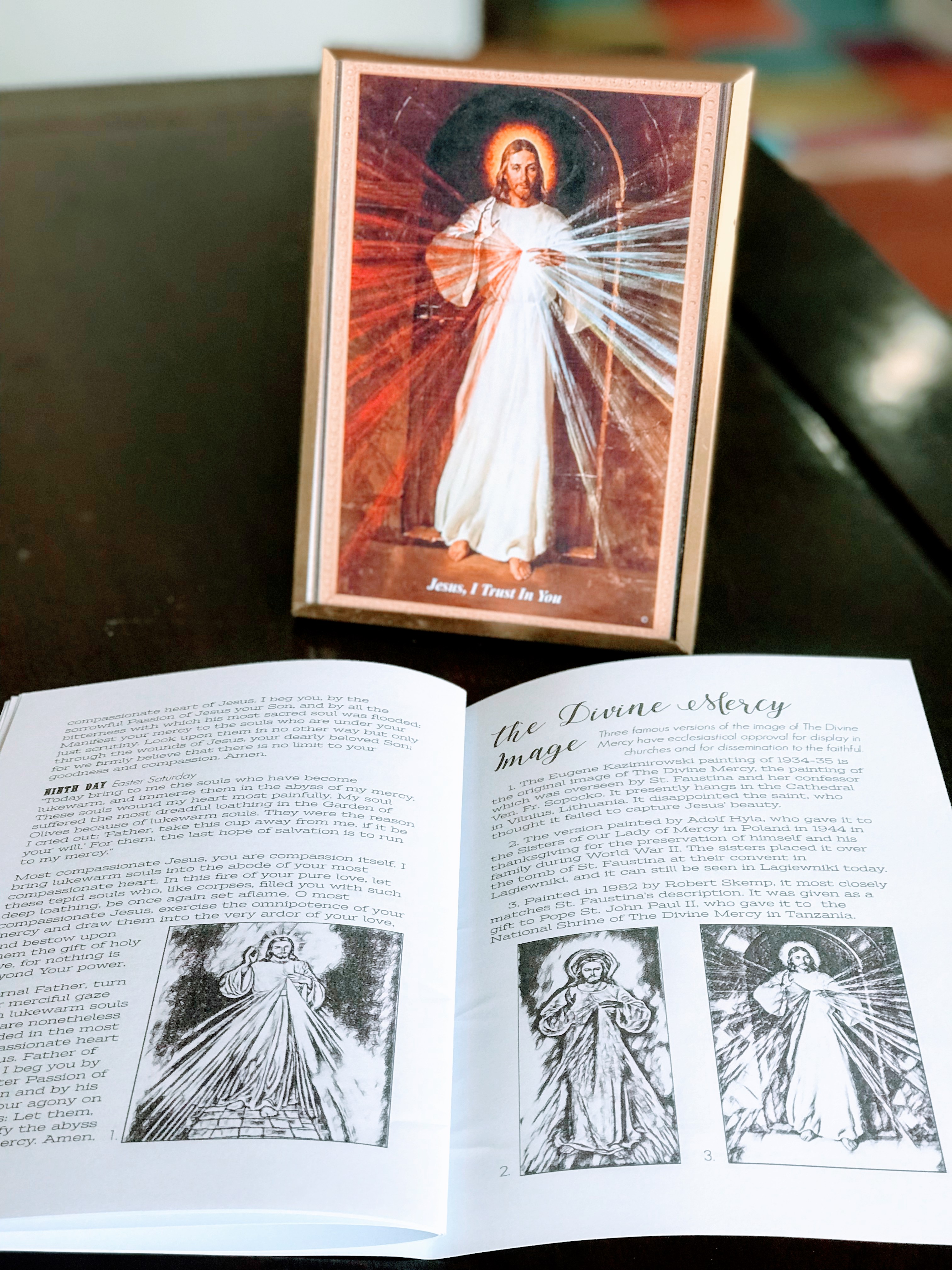 Divine Mercy Novena Pamphlet Printable