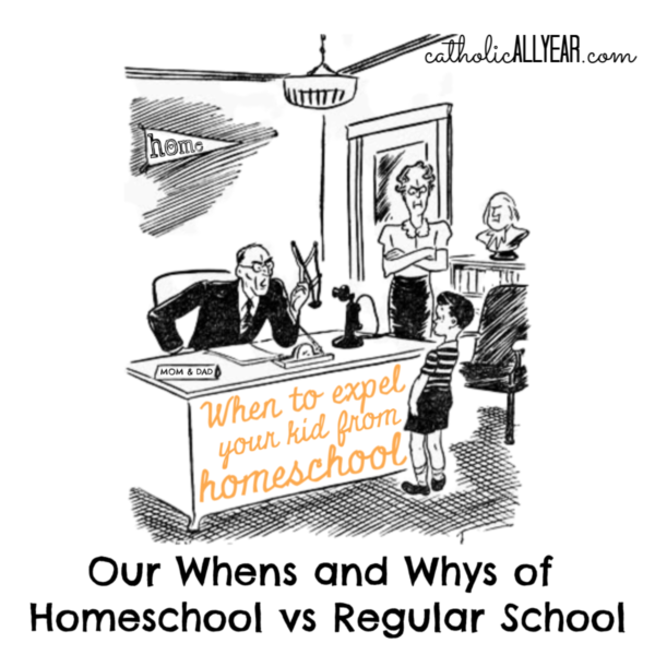 When to Expel Your Kid From Homeschool: Circles of Influence and Homeschool vs Regular School