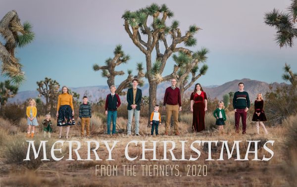 Merry Christmas from the Tierneys, 2020