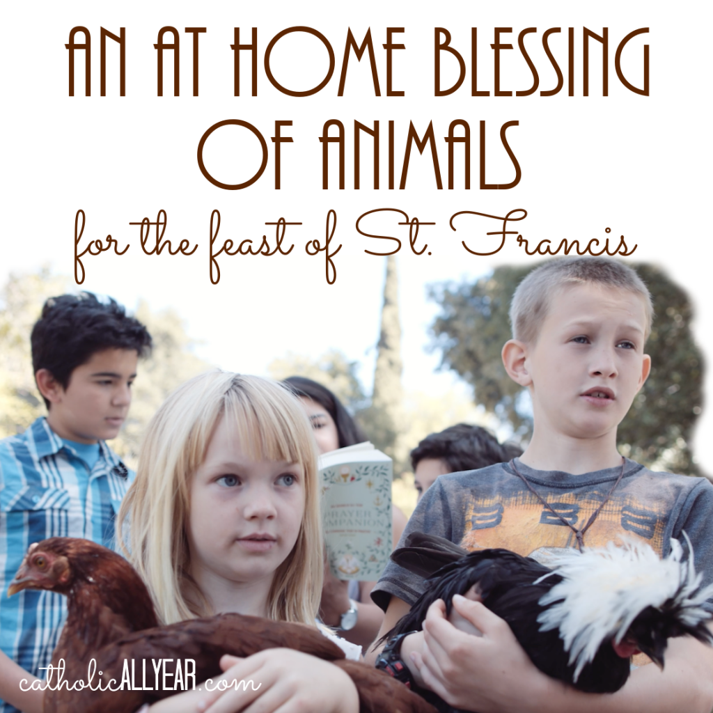 An At Home Blessing of Animals for the Feast of Saint Francis - Catholic  All Year