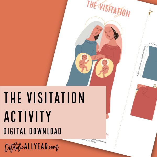 Printable Visitation Activity {Digital Download}