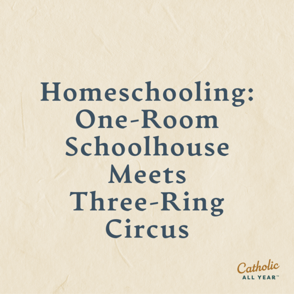 Homeschooling: One-Room Schoolhouse Meets Three-Ring Circus