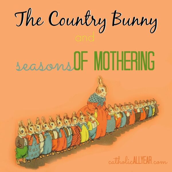 The Country Bunny and Seasons of Mothering
