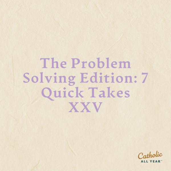 The Problem Solving Edition: 7 Quick Takes XXV