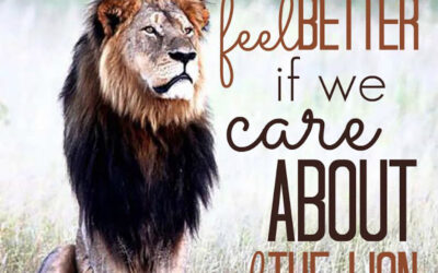 Why We Feel Better if We Care About Cecil the Lion