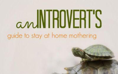 An Introvert’s Guide to Stay at Home Mothering