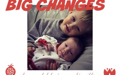 little kids & BIG CHANGES: how much help does an older sibling need when a new baby comes along?