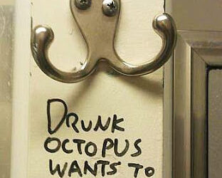 Drunk Octopus Wants to Fight (but I do not): 7 Quick Takes XXVI